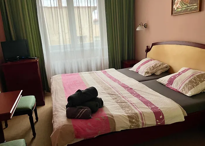 Hotel Wellness Haná 3*