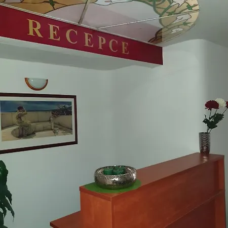 Wellness Haná Hotel