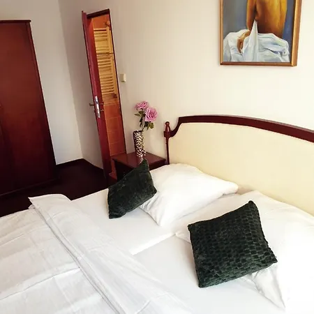Wellness Haná Hotel