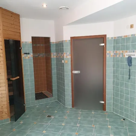 Wellness Haná Hotel 3*