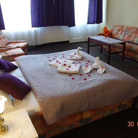 Wellness Haná Hotel 3*