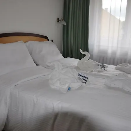 Hotel Wellness Haná 3*