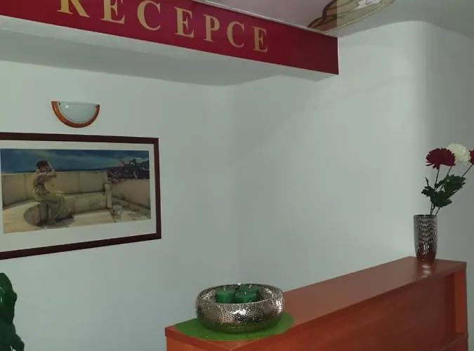 Wellness Haná Hotel