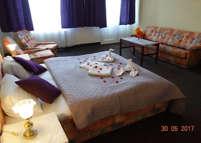 Wellness Haná Hotel 3*